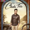 About Cheta Tera Song