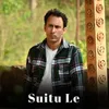 About Suitu Le Song