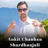 About Ankit Chauhan Shardhanjali Song