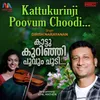 About Kattukurinji Poovum Choodi Song