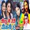 About Yishu Mai Teri Divani Hu Song