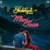 About Meri Jaan Song