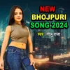 New Bhojpuri Song 2024