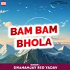 About Bam Bam Bhola Song