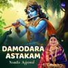 About Damodara Astakam Song