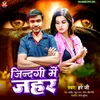 About Jindagi Me Jahar Song