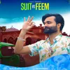 About Suit vs Feem Song