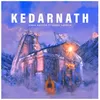 About Kedarnath Song