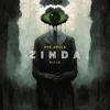 About Zinda Song