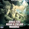 About Bhole Tere Naam Ki Chilam Marange Song