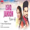 About Ishq Janoon Song