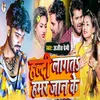 About Haldi Lagata Hamar Jaan Ho Song