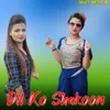 About Dil Ko Shakoon Song