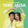 About Tere Jaisa - The Snap Song (Extented) Song
