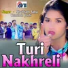 About Turi Nakhreli Song