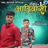 About Number One Aadiwasi Song