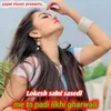 About Mai To Padi Likhi Gharwali Song