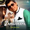 About Zamindara Song