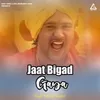 About Jaat Bigad Gaya Song