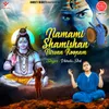 About Namami Shamishan Nirvan Roopam Song