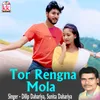 About Tor Rengna Mola Song