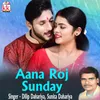 About Aana Roj Sunday Song