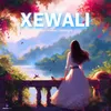 About Xewali Song