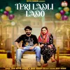 About Teri Ladli Lado Song