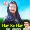 About Hay Re Hay Song