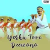 About Yeshu Tore Deewana Song