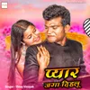 About Pyar Jaga Dihalu Song