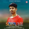 About Sonuye Song