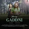 About Meriye Gaddni Song