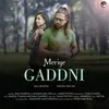 Meriye Gaddni