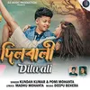 About Dil wali Song