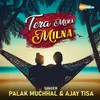 About Tera Mera Milna Song