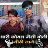 About Thari Koyal Jesi Boli Mithi Laage Song