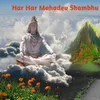 Har Har Mahadev Shambhu