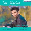 Tor Wachan