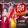 About Dil Kahe Lagawalu Song