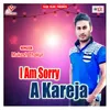 I Am Sorry Mor Kareja