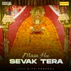 About Main Hu Sevak Tera Song