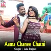 About Aama Chanee Chatni Song