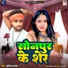 About Sonpur Ke Sher Song