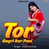 About Tor Gagri Kar Pani Song