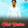 About Hai Yeshu Song