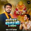 About Bageshwar Balaji Ke Mahima Song