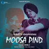 About Moosa Pind Song