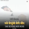 About Tane Bechungi Meri Neend -Lofi Bhajan Song