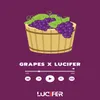 About GRAPES X LUCIFER Song